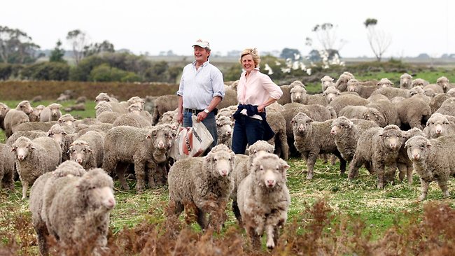 Australian Sheep Farm