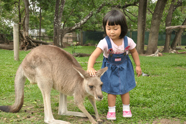 girl petting kangaroo